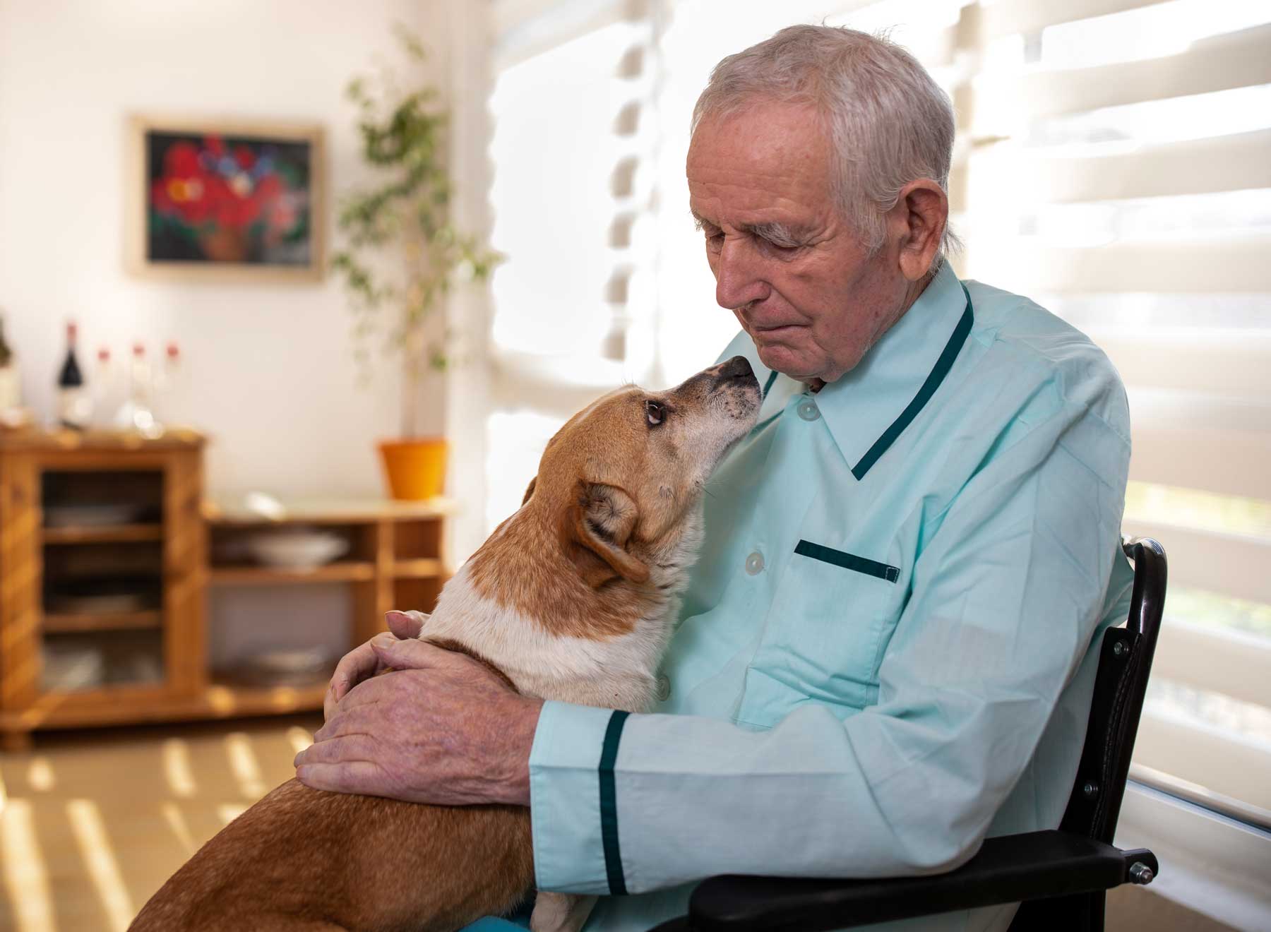Safety For Seniors Living Alone